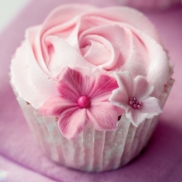 shutterstock_96561811 Foto