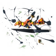 Von Can Inellioglu Shutterstock Foto