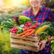 shutterstock Von Krasula Foto